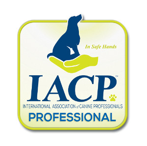 iacp-professional-logo-300x299