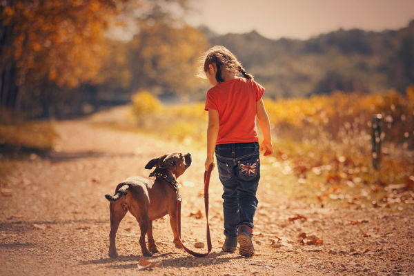 child with a dog