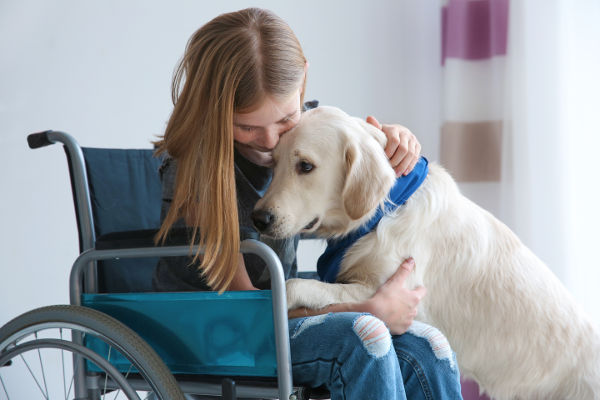 Girl in wheelchair with service dog indoors