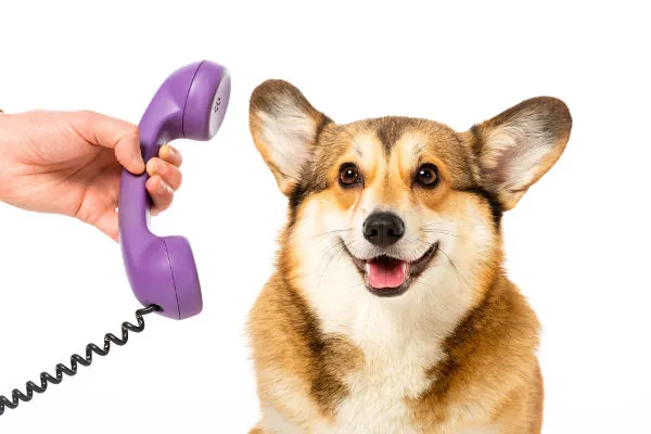 over-the-phone-600x400
