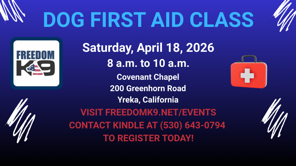 Dog First Aid Course