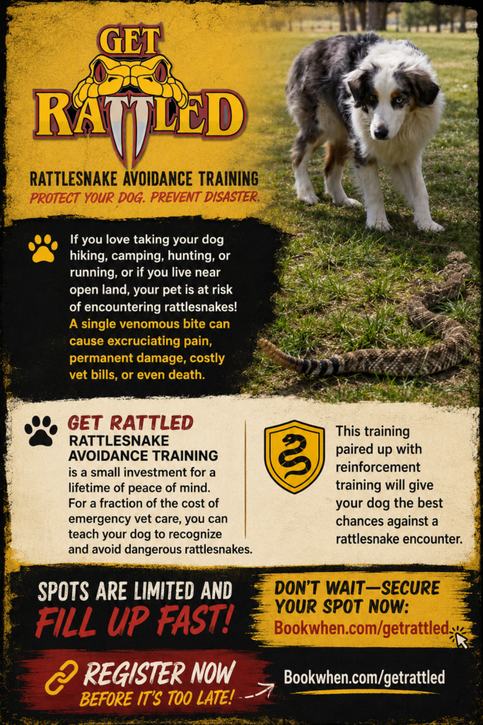 Rattlesnake Avoidance Training with Get Rattled